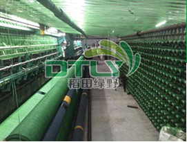 遮陽(yáng)網(wǎng)生產(chǎn)車間